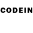 Псилоцибиновые грибы GOLDEN TEACHER Muhammed Coskun