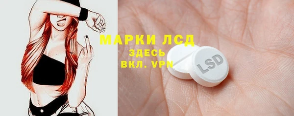 сатива Армянск