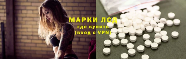 сатива Армянск