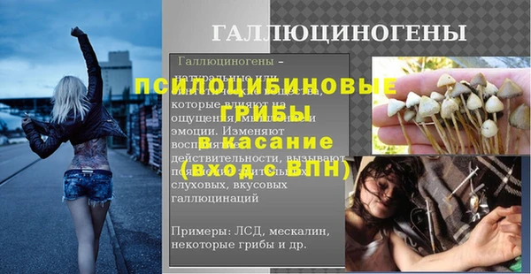сатива Армянск