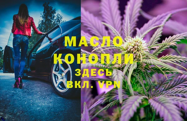 сатива Армянск