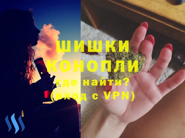 сатива Армянск
