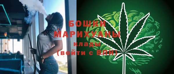 сатива Армянск